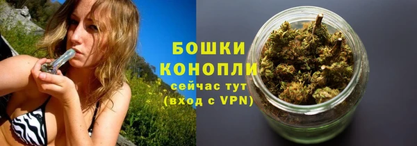 МДПВ Дмитриев