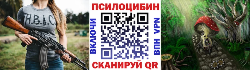 Псилоцибиновые грибы Psilocybe  Приволжский 